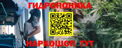 мяу мяу мука Бугуруслан