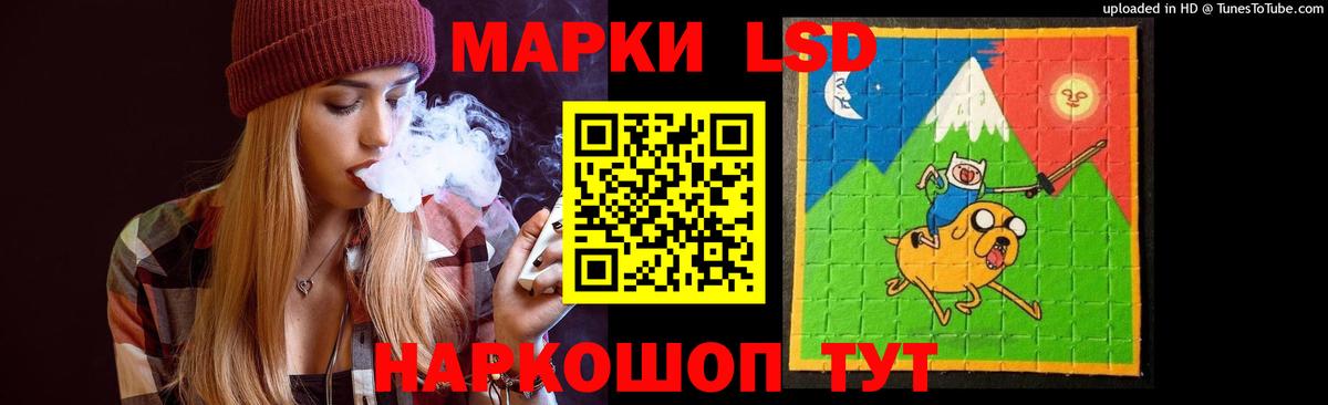 Бердск  Лсд 25 экстази кислота  Вход с VPN 