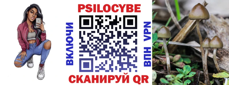 Галлюциногенные грибы GOLDEN TEACHER Бердск