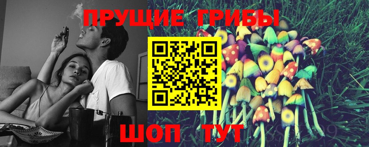 Псилоцибиновые грибы GOLDEN TEACHER  Галлюциногенные грибы мицелий  Бердск  Вход с VPN 