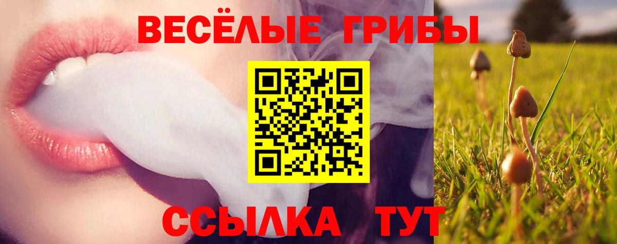 Галлюциногенные грибы мухоморы Бердск