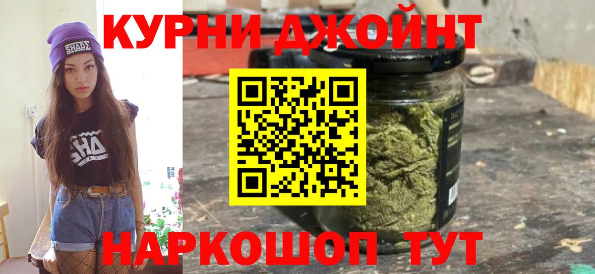 Каннабис план Бердск